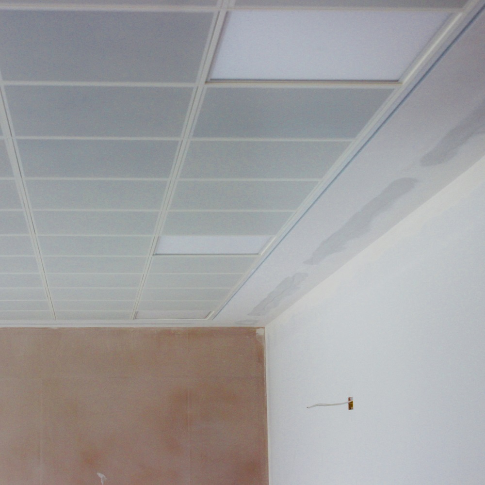 Suspended Ceiling 2 3BI